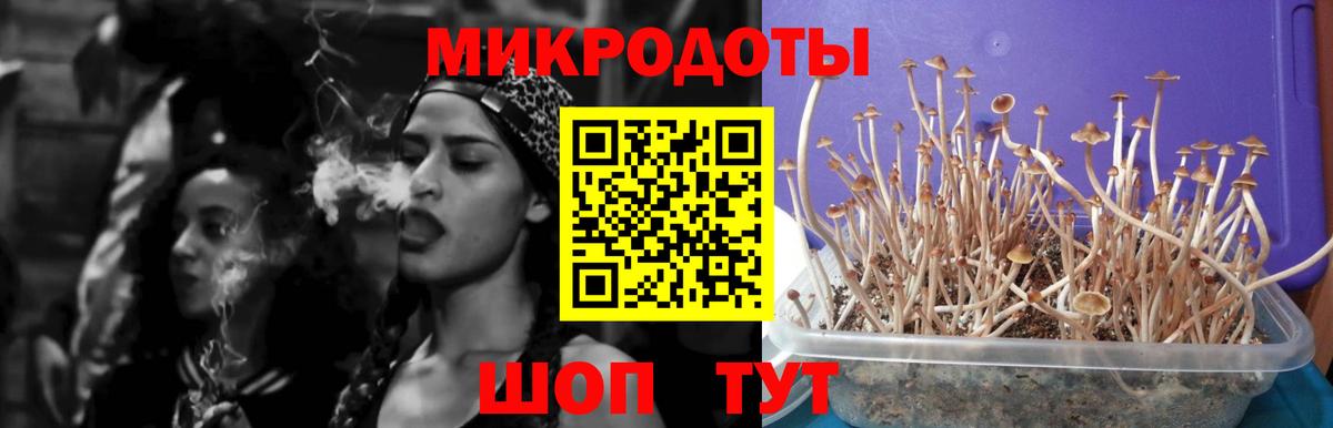 Ирбит  Галлюциногенные грибы Psilocybine cubensis  Вход с VPN 